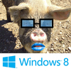 windows-pig.png